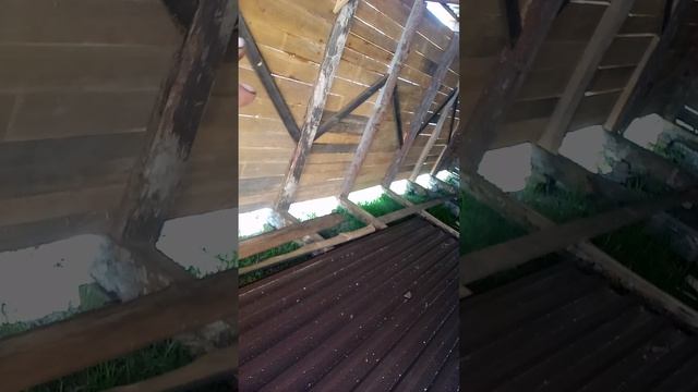 навожу порядки по ограде смотреть онлайн