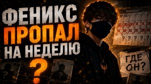 КУДА ПРОПАЛ ФЕНИКС ? ВСЯ ПРАВДА ЗДЕСЬ! Blockman Go BedWars