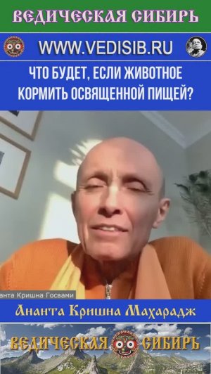 Что будет, если животное кормить освященной пищей?