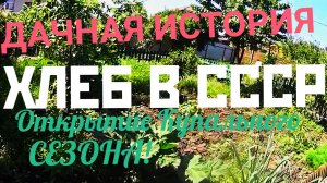 ДАЧНАЯ ИСТОРИЯ! ХЛЕБ В СССР! ОТКРЫЛИ КУПАЛЬНЫЙ СЕЗОН!