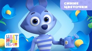 Синие цветочки | Цветняшки! Песни | песенка про цвета для детей