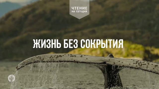 ЖИЗНЬ БЕЗ СОКРЫТИЯ  | АУДИО |	5	  июня 2026