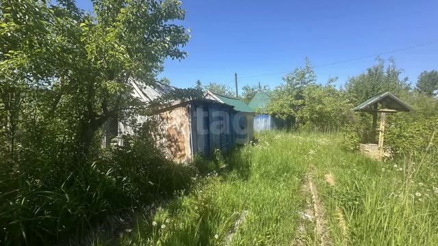 7807565 смотреть онлайн