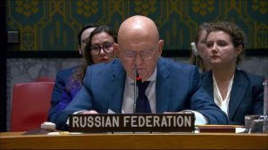 Выступление В.А.Небензи в СБ ООН по удару по Старобельску