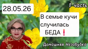 1 часть. В семье кучи СЛУЧИЛАСЬ БЕДА❗️
