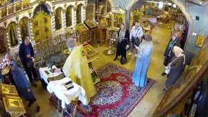 Молебен с акафистом свт. Луке
