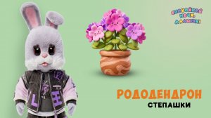 Рододендрон🌙 Шоу для детей Спокойной ночи, малыши! + серия Супер Ралли