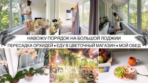 УБОРКА В КВАРТИРЕ НА БОЛЬШОЙ ЛОДЖИИ✨Мою окна / Пересаживаю орхидеи / Стираю шторы / ЕДУ В ЦВЕТОЧНЫЙ