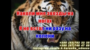 Кольщик(AK)~___Нагора #караоке #подпишись #тренды #Kurkov @a.k.karaoke💖