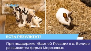 При поддержке «Единой России» в д. Беливо развивается ферма Морозовых