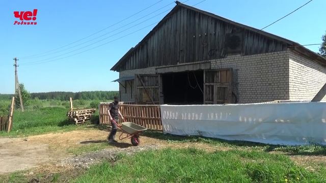 овцеферма смотреть онлайн