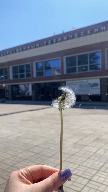 Доброе утро ☀️ смотреть онлайн