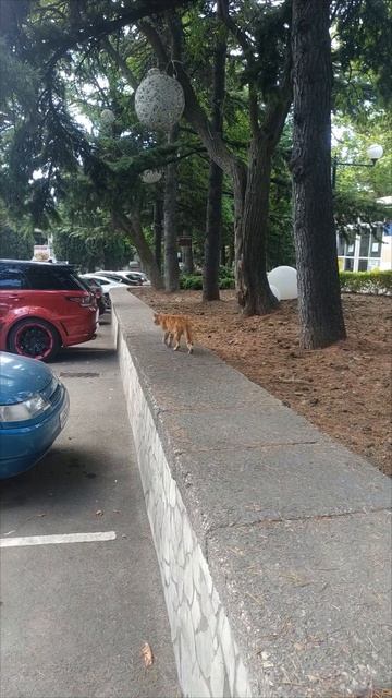 АЛУШТА. Крым...