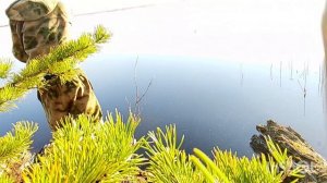 После долгого рабочего дня приятно заняться рыбалкой. 🎣