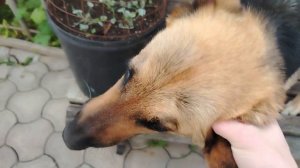 проводим позитивно время