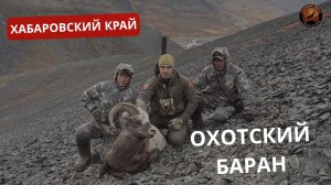ХАБАРОВСКИЙ КРАЙ | ОХОТСКИЙ БАРАН | РЕАЛЬНАЯ ОХОТА