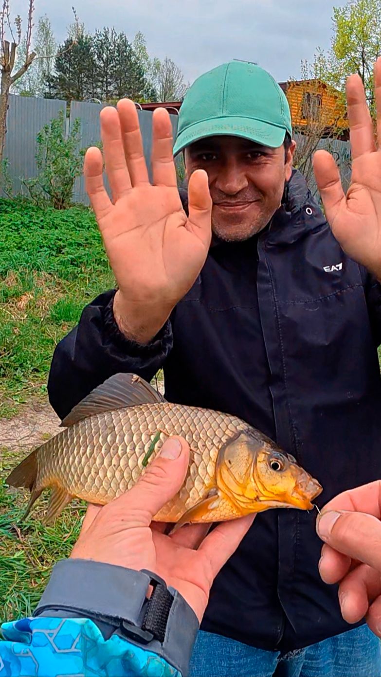 А радости-то, карась клюёт! 😂🎣👍 смотреть онлайн