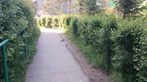 Опять новые анекдоты