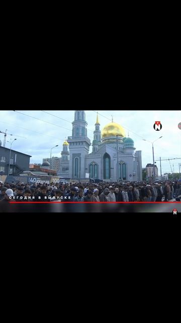 1000042678.mp4 смотреть онлайн