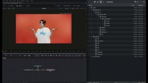 Limbo: API - коннект с Blackmagic Fusion.