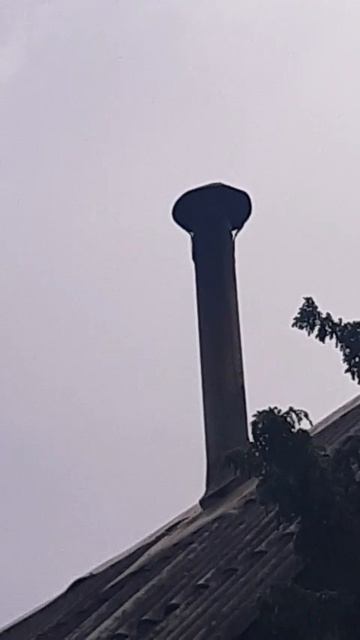 Птичка в трубе.Увидели?