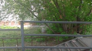 Одинокая Ольга Валерьевна
