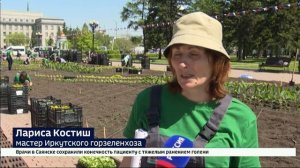 К высадке цветов на клумбах Иркутска приступили сотрудники Горзеленхоза