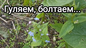 28-05-2026. Гуляем, болтаем...