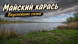 Майский карась и вкуснейшие Снеки!