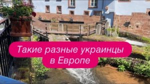Украинец заявил, что в 14 году нужен был Зеленский. #новости #беженцыизукраины