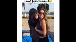 #смешныевидео -1449