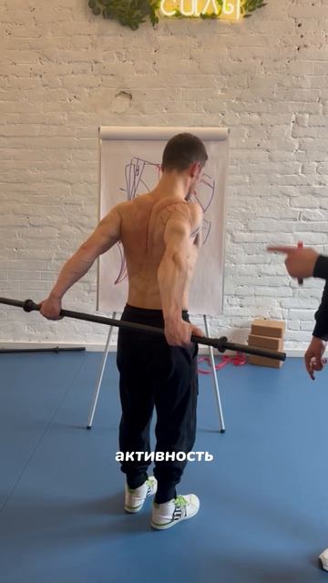 Двусет на заднюю порцию дельтовидной
