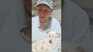 Снежок на связи смотреть до конца