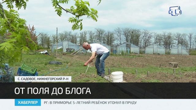 Наш соотечественник Али Юсуфов ведет блог о сельском хозяйстве смотреть онлайн
