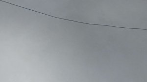 1000089031.mp4