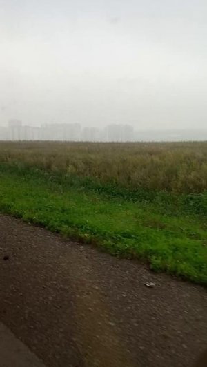 туман