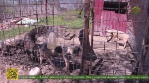 В Астрахани запускают проект «Новый дом»