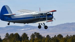 Один человек погиб при крушении самолета Ан-2 в Казахстане