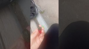 влог 6