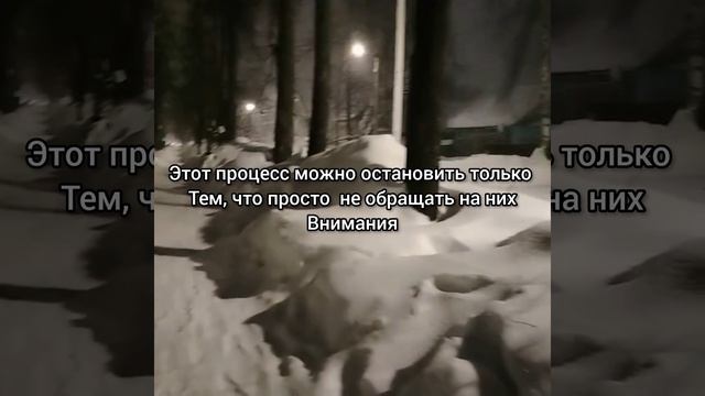 рутуб медленно гниёт смотреть онлайн