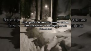 рутуб медленно гниёт