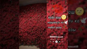 🔮видео тэ налэн ❌запэндо тумари лищнюу дума Тути адо муй и тя ⚰️мамати ✌️❌❌⚔️