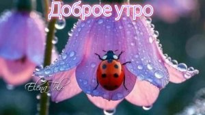 С добрым утром! Красивая музыкальная открытка.