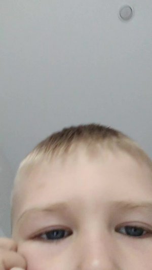 песня