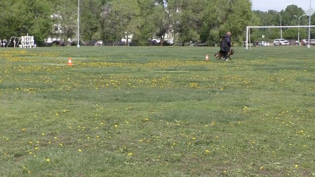 ГРОСЕФОХНОН ЛЕКСАНДРА смотреть онлайн