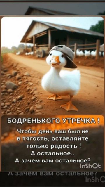 5726.mp4 смотреть онлайн