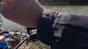 Рыбалка на фидер по холодной воде, клёв подлещика и окунь на живца