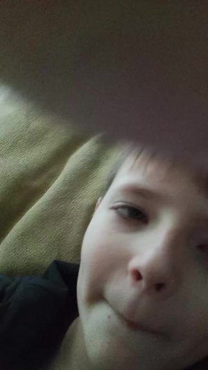 дом в подушке
