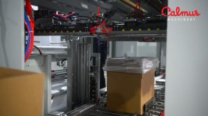 Автоматический укладчик пакетов-вкладышей в гофрокороба