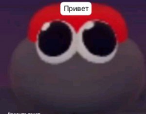 обзор на наших собачек